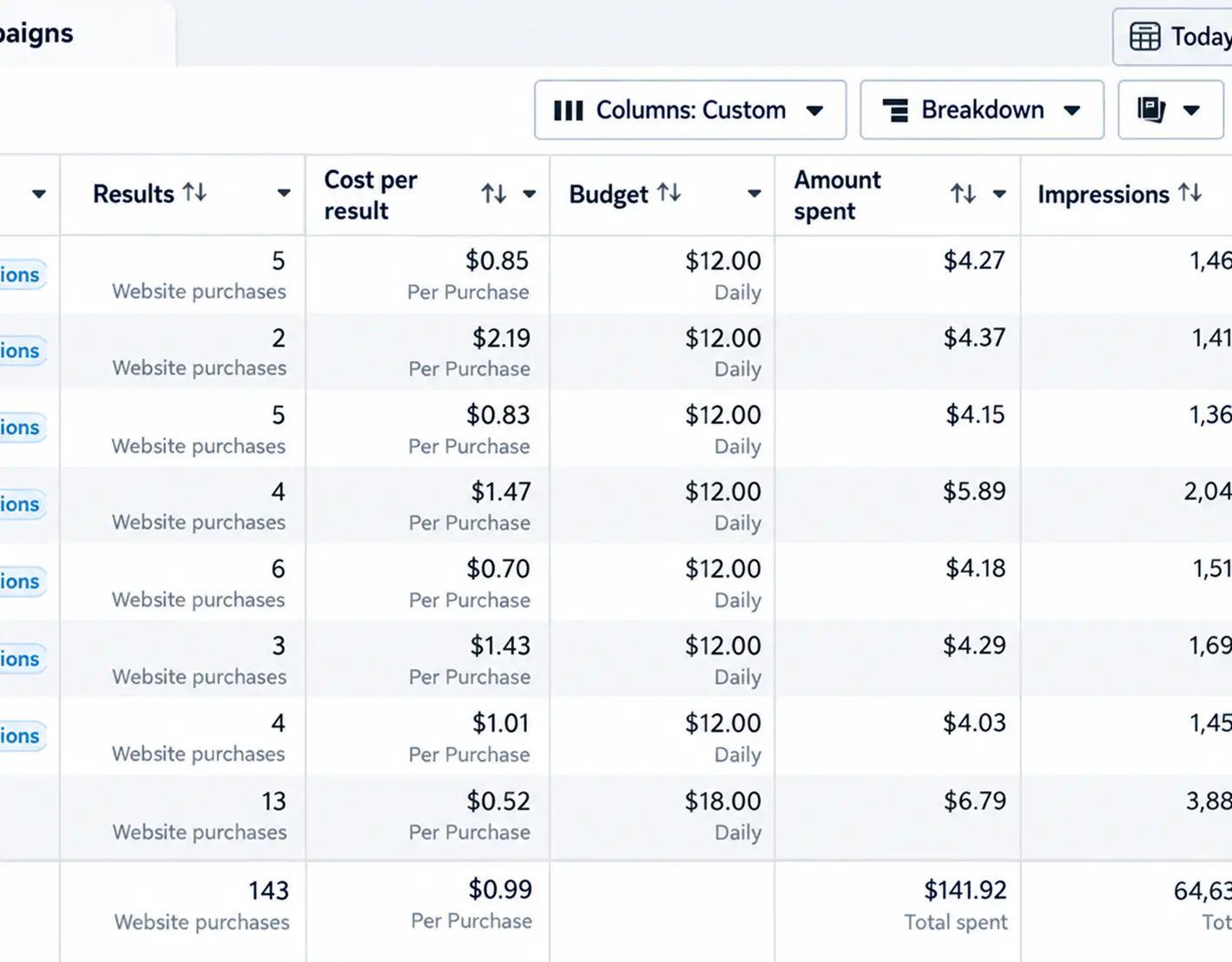 facebook meta ads expert e commerce campaign — 13.2× roas
